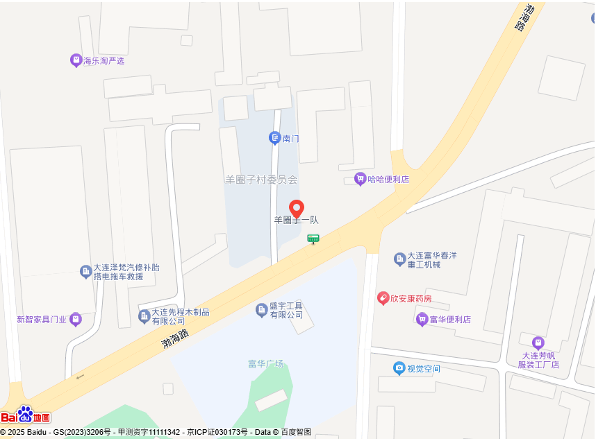 大连佳域汽车手艺服务有限公司